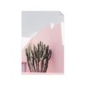 Picture of Pink Cactus II _GroupedProduct_Rectangle_Portrait_Photography _GroupedProduct_Rectangle_Portrait_Unframed_Print_Only_
