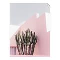 Picture of Pink Cactus II _GroupedProduct_Rectangle_Portrait_Photography _GroupedProduct_Rectangle_Portrait_Unframed_Print_Only_