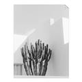 Picture of Pink Cactus II _GroupedProduct_Rectangle_Portrait_Photography _GroupedProduct_Rectangle_Portrait_Unframed_Print_Only_