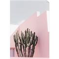 Picture of Pink Cactus II _GroupedProduct_Rectangle_Portrait_Photography _GroupedProduct_Rectangle_Portrait_Unframed_Print_Only_