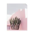 Picture of Pink Cactus II _GroupedProduct_Rectangle_Portrait_Photography _GroupedProduct_Rectangle_Portrait_Unframed_Print_Only_