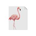 Picture of Pinkfully Perfect  _GroupedProduct_Rectangle_Portrait_Photography _GroupedProduct_Rectangle_Portrait_Unframed_Print_Only_