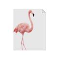 Picture of Pinkfully Perfect  _GroupedProduct_Rectangle_Portrait_Photography _GroupedProduct_Rectangle_Portrait_Unframed_Print_Only_
