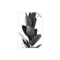 Picture of Plant Life _GroupedProduct_Rectangle_Portrait_Photography _GroupedProduct_Rectangle_Portrait_Unframed_Print_Only_