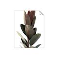 Picture of Plant Life _GroupedProduct_Rectangle_Portrait_Photography _GroupedProduct_Rectangle_Portrait_Unframed_Print_Only_