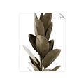 Picture of Plant Life _GroupedProduct_Rectangle_Portrait_Photography _GroupedProduct_Rectangle_Portrait_Unframed_Print_Only_
