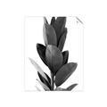 Picture of Plant Life _GroupedProduct_Rectangle_Portrait_Photography _GroupedProduct_Rectangle_Portrait_Unframed_Print_Only_