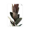 Picture of Plant Life _GroupedProduct_Rectangle_Portrait_Photography _GroupedProduct_Rectangle_Portrait_Unframed_Print_Only_