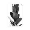 Picture of Plant Life _GroupedProduct_Rectangle_Portrait_Photography _GroupedProduct_Rectangle_Portrait_Unframed_Print_Only_