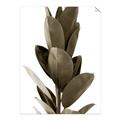 Picture of Plant Life _GroupedProduct_Rectangle_Portrait_Photography _GroupedProduct_Rectangle_Portrait_Unframed_Print_Only_