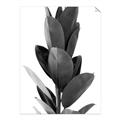 Picture of Plant Life _GroupedProduct_Rectangle_Portrait_Photography _GroupedProduct_Rectangle_Portrait_Unframed_Print_Only_