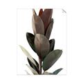 Picture of Plant Life _GroupedProduct_Rectangle_Portrait_Photography _GroupedProduct_Rectangle_Portrait_Unframed_Print_Only_