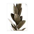 Picture of Plant Life _GroupedProduct_Rectangle_Portrait_Photography _GroupedProduct_Rectangle_Portrait_Unframed_Print_Only_