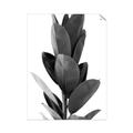 Picture of Plant Life _GroupedProduct_Rectangle_Portrait_Photography _GroupedProduct_Rectangle_Portrait_Unframed_Print_Only_