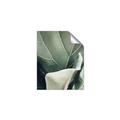 Picture of Sage Leaves  _GroupedProduct_Rectangle_Portrait_Photography _GroupedProduct_Rectangle_Portrait_Unframed_Print_Only_