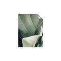 Picture of Sage Leaves  _GroupedProduct_Rectangle_Portrait_Photography _GroupedProduct_Rectangle_Portrait_Unframed_Print_Only_