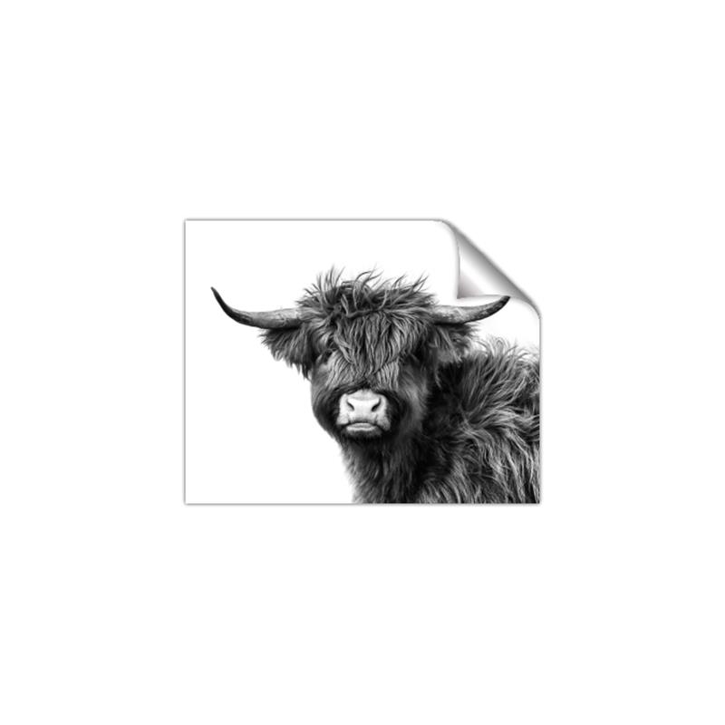 Picture of Scottish Highlands  _GroupedProduct_Rectangle_Landscape_Photography _GroupedProduct_Rectangle_Landscape_Unframed_Print_Only_