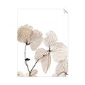 Picture of Sepia Botanic _GroupedProduct_Rectangle_Portrait_Photography _GroupedProduct_Rectangle_Portrait_Unframed_Print_Only_