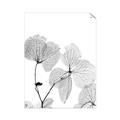 Picture of Sepia Botanic _GroupedProduct_Rectangle_Portrait_Photography _GroupedProduct_Rectangle_Portrait_Unframed_Print_Only_
