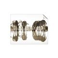 Picture of Sipping Zebras  _GroupedProduct_Rectangle_Landscape_Photography _GroupedProduct_Rectangle_Landscape_Unframed_Print_Only_