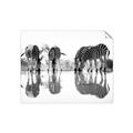 Picture of Sipping Zebras  _GroupedProduct_Rectangle_Landscape_Photography _GroupedProduct_Rectangle_Landscape_Unframed_Print_Only_