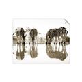 Picture of Sipping Zebras  _GroupedProduct_Rectangle_Landscape_Photography _GroupedProduct_Rectangle_Landscape_Unframed_Print_Only_