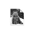 Picture of Snowy Bear _GroupedProduct_Rectangle_Portrait_Photography _GroupedProduct_Rectangle_Portrait_Unframed_Print_Only_