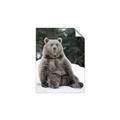 Picture of Snowy Bear _GroupedProduct_Rectangle_Portrait_Photography _GroupedProduct_Rectangle_Portrait_Unframed_Print_Only_