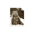 Picture of Snowy Bear _GroupedProduct_Rectangle_Portrait_Photography _GroupedProduct_Rectangle_Portrait_Unframed_Print_Only_
