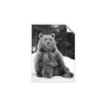 Picture of Snowy Bear _GroupedProduct_Rectangle_Portrait_Photography _GroupedProduct_Rectangle_Portrait_Unframed_Print_Only_