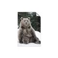 Picture of Snowy Bear _GroupedProduct_Rectangle_Portrait_Photography _GroupedProduct_Rectangle_Portrait_Unframed_Print_Only_