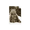 Picture of Snowy Bear _GroupedProduct_Rectangle_Portrait_Photography _GroupedProduct_Rectangle_Portrait_Unframed_Print_Only_