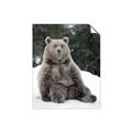 Picture of Snowy Bear _GroupedProduct_Rectangle_Portrait_Photography _GroupedProduct_Rectangle_Portrait_Unframed_Print_Only_