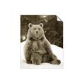 Picture of Snowy Bear _GroupedProduct_Rectangle_Portrait_Photography _GroupedProduct_Rectangle_Portrait_Unframed_Print_Only_