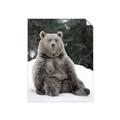 Picture of Snowy Bear _GroupedProduct_Rectangle_Portrait_Photography _GroupedProduct_Rectangle_Portrait_Unframed_Print_Only_