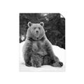 Picture of Snowy Bear _GroupedProduct_Rectangle_Portrait_Photography _GroupedProduct_Rectangle_Portrait_Unframed_Print_Only_