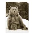 Picture of Snowy Bear _GroupedProduct_Rectangle_Portrait_Photography _GroupedProduct_Rectangle_Portrait_Unframed_Print_Only_