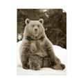 Picture of Snowy Bear _GroupedProduct_Rectangle_Portrait_Photography _GroupedProduct_Rectangle_Portrait_Unframed_Print_Only_