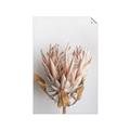 Picture of Soft Pink _GroupedProduct_Rectangle_Portrait_Photography _GroupedProduct_Rectangle_Portrait_Unframed_Print_Only_