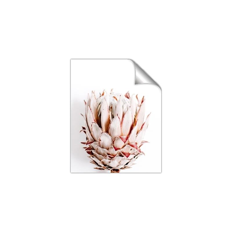 Picture of Soft Protea _GroupedProduct_Rectangle_Portrait_Photography _GroupedProduct_Rectangle_Portrait_Unframed_Print_Only_