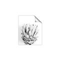 Picture of Soft Protea _GroupedProduct_Rectangle_Portrait_Photography _GroupedProduct_Rectangle_Portrait_Unframed_Print_Only_