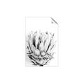Picture of Soft Protea _GroupedProduct_Rectangle_Portrait_Photography _GroupedProduct_Rectangle_Portrait_Unframed_Print_Only_