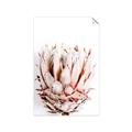 Picture of Soft Protea _GroupedProduct_Rectangle_Portrait_Photography _GroupedProduct_Rectangle_Portrait_Unframed_Print_Only_