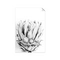 Picture of Soft Protea _GroupedProduct_Rectangle_Portrait_Photography _GroupedProduct_Rectangle_Portrait_Unframed_Print_Only_