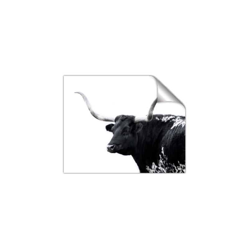 Picture of Spotted Bull  _GroupedProduct_Rectangle_Landscape_Photography _GroupedProduct_Rectangle_Landscape_Unframed_Print_Only_