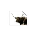 Picture of Spotted Bull  _GroupedProduct_Rectangle_Landscape_Photography _GroupedProduct_Rectangle_Landscape_Unframed_Print_Only_