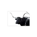Picture of Spotted Bull  _GroupedProduct_Rectangle_Landscape_Photography _GroupedProduct_Rectangle_Landscape_Unframed_Print_Only_