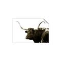 Picture of Spotted Bull  _GroupedProduct_Rectangle_Landscape_Photography _GroupedProduct_Rectangle_Landscape_Unframed_Print_Only_
