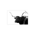 Picture of Spotted Bull  _GroupedProduct_Rectangle_Landscape_Photography _GroupedProduct_Rectangle_Landscape_Unframed_Print_Only_