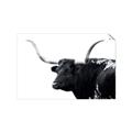 Picture of Spotted Bull  _GroupedProduct_Rectangle_Landscape_Photography _GroupedProduct_Rectangle_Landscape_Unframed_Print_Only_